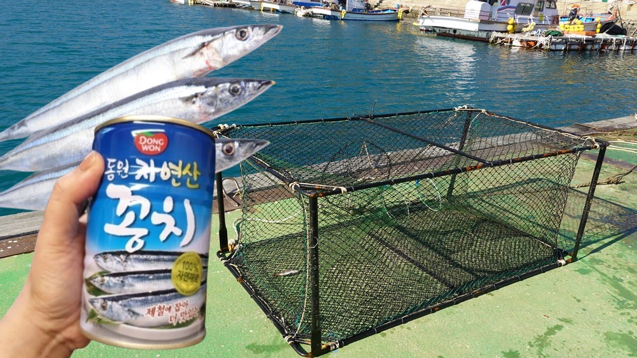 [통발]꽁치캔 미끼를 넣었더니..?고래회충이 가득한...오마이갓!!!