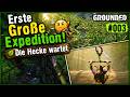 Grounded Koop #003 | Erste Große Expedition! 🧗Die Hecke wartet (PC + PS5 Crossplay)