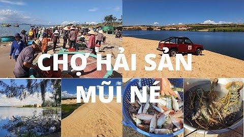CHỢ HẢI SẢN cảng cá Mũi Né rất NHỘN NHỊP - Đuổi theo mây trắng tới Bàu Sen qua quán Gái Tệ - M.Né #7