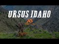 Spring Bear Hunt: Ursus Idaho