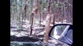 Alive And Kicking - Simple Minds