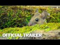 HEART OF AN OAK Official Trailer (2024) | HD