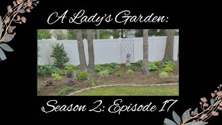Shade Garden Tour & Plant Ideas // A Lady's Garden