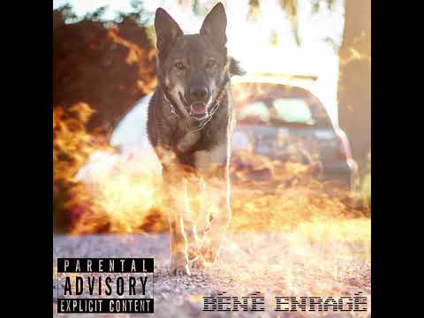 Béné le chien - Enragé [Freestyle]