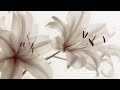Soft Cute Edit Audios Timestamps 