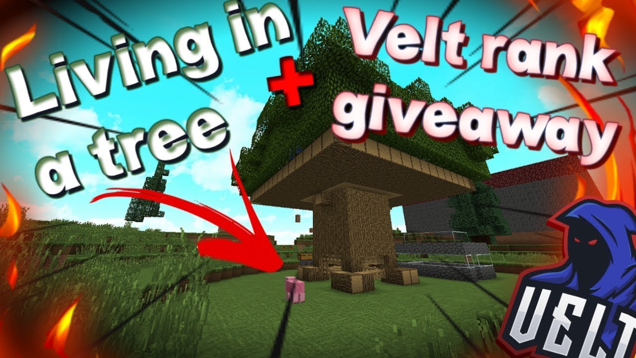LIVING IN A TREE+VELT RANK GIVEAWAY!!!(Velt.pvp) - YouTube