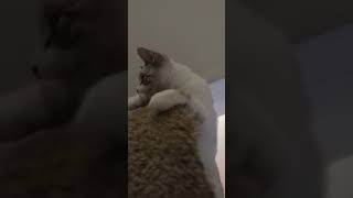 Snapchat Bestie By Kayla