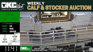 9/9/2025 - Calf & Stocker Auction - OKC West