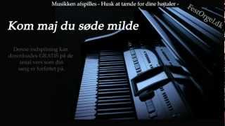 Video thumbnail of "Kom maj du søde milde"