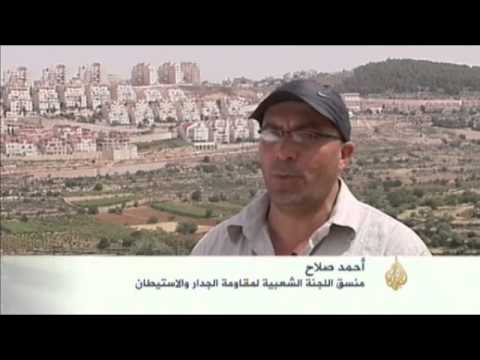 مستوطنون يشرعون ببناء مدرسة دينية على أراضي بلدة الخضر