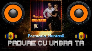 🎵 PĂDURE CU UMBRA TA ✅ Formatia Nuntasii // 🎹🎼 ⚡ Muzică Moldovenească