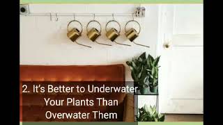 15 Brilliant and Easy Plant Care Tips #shorts