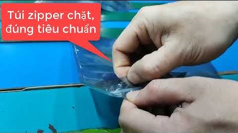 Khắc phục lỗi túi zipper dễ mở