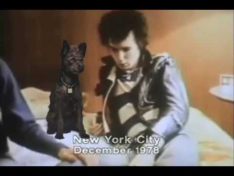 Sid vicious last interview 1978