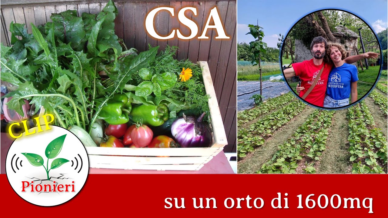 CSA ed economie aziendali - Terra Viva - YouTube