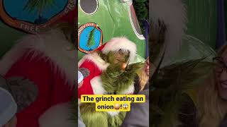 The grinch eats an onion