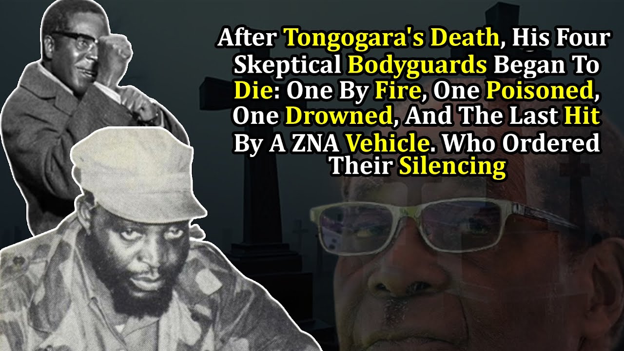 Почему Мугабе убил четверых телохранителей Джозайи Тонгогары: предательская история освобождения ...