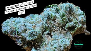 REVIEW 🍪🔥 #Avaay 31/1 #OGC Ocean Grown Cookies mit 32,6% THC! #Kanada #unbestrahlt #medcan