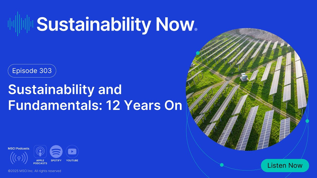 Sustainability and Fundamentals: 12 Years On