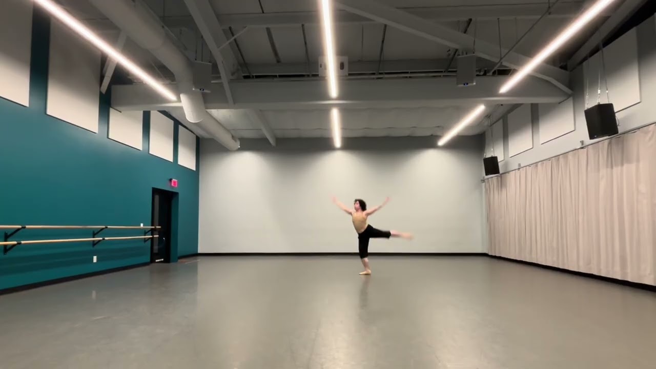 Netherlands Dans Theater Summer Intensive Audition