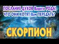 СКОРПИОН ♏🧚‍♂️🧚‍♂️🧚‍♂️ ПОСЛАНИЕ от ДУХОВ Вашего РОДА Что они хотят Вам передать Таро Расклад