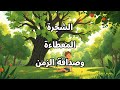 الشجرة المعطاءة وصداقة الزمن     