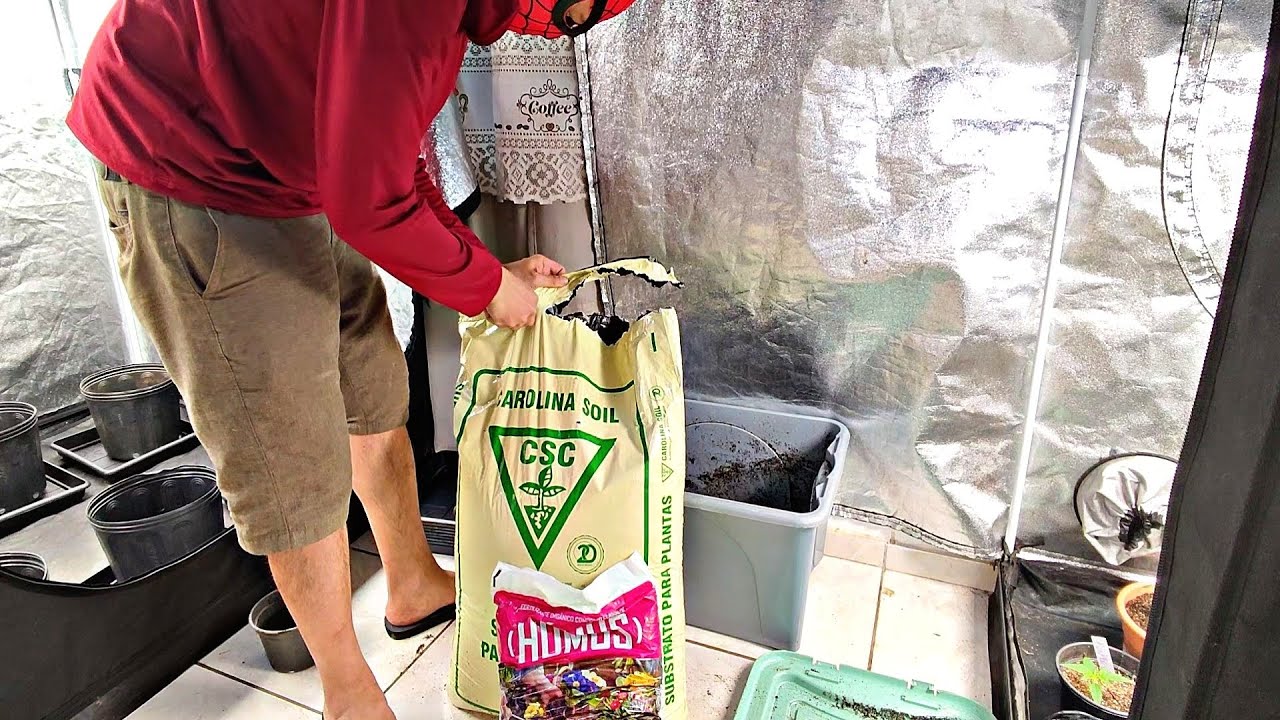 SUBSTRATO CAROLINA + HÚMUS DE MINHOCA, COMO EU MISTURO E COMO EU USO PARA AS PLANTAS