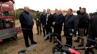 Лукашенко: Ты НЕ ВИДЕЛ поля эти? Это УЖАС! // Шкловский район. Рабочая поездка