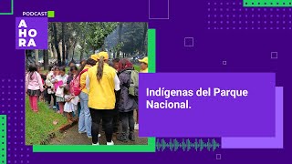 Sin solución para los indígenas asentados en el Parque Nacional | AHORA, un Podcast | 25/04/2024