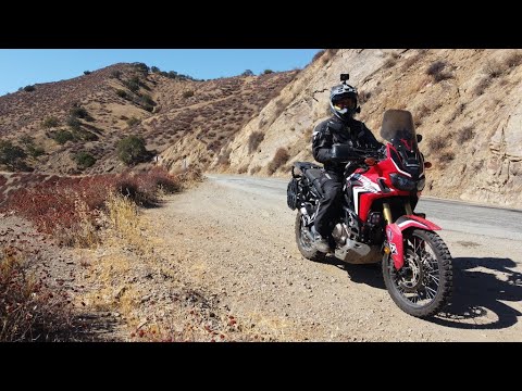 Next Chapter... Honda Africa Twin or Monkey?