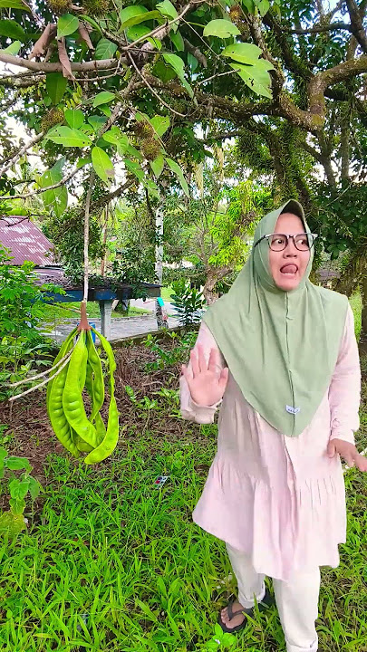 KuCoba Melempar Manggis #funny #trendingshorts #comedy #subscribe