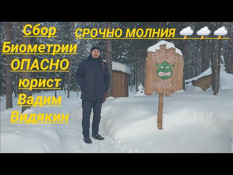 Сбор Биометрии ОПАСНО юрист Вадим Видякин