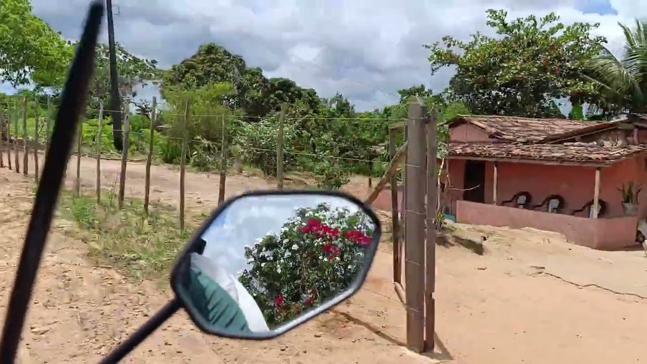 Viajando pelo sítio 