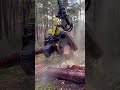 Mechanical Tree Sectioning | #Logging #HeavyMachinery #Forestry