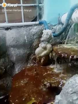 Parah kencing ditempat umum Bray..