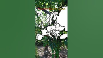 Top comment changes the map Day 1