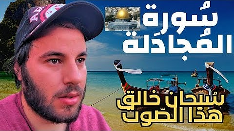 سورة المجادلة القارئ حمزة مدبوح يا الله ما احححححححلى هذا الصوت تلاوة تهتز لها القلوب حيوانات برية