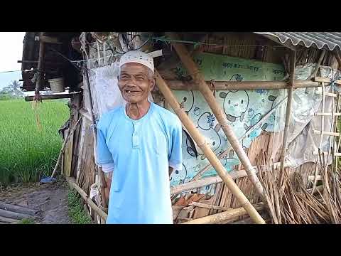 17 tahun kakek tua renta hidup sendiri ditengah sawah