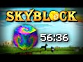 How we speedran the Fairy Souls (less than 1 hour) | Hypixel SkyBlock Lemon #9