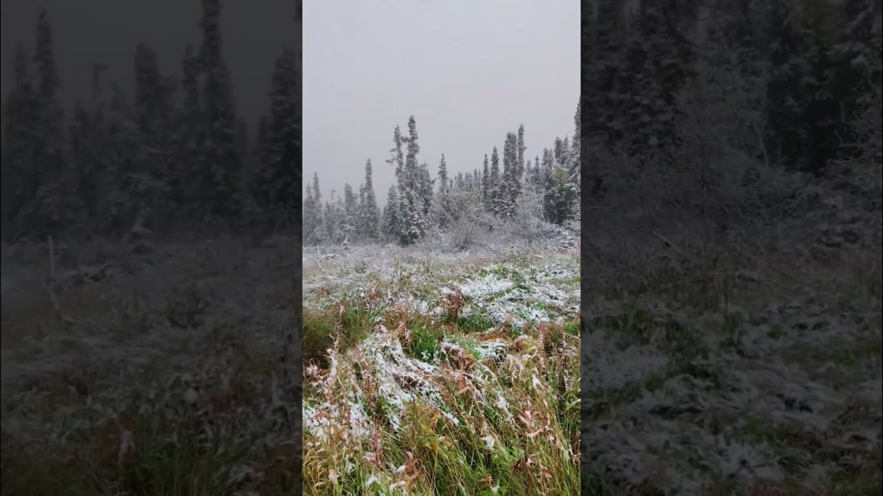 😱SNOWING NOW!😱