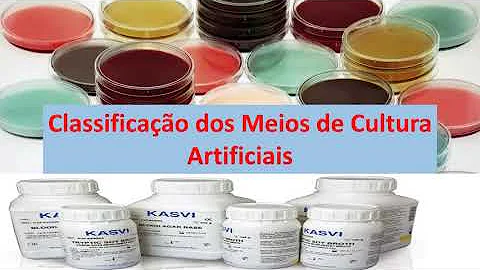Quanto à consistência como podem ser classificados os meios de cultura?
