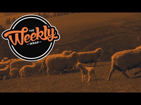 Related Embedded Video Item Thumbnail