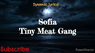 Tiny Meat Gang_Sofia (Lyrics)