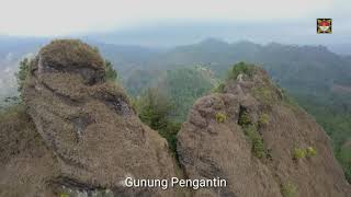 Kebun Teh Nglinggo & Gunung Pengantin