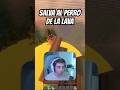 Salva Al Perro Mientras SUBE LA LAVA