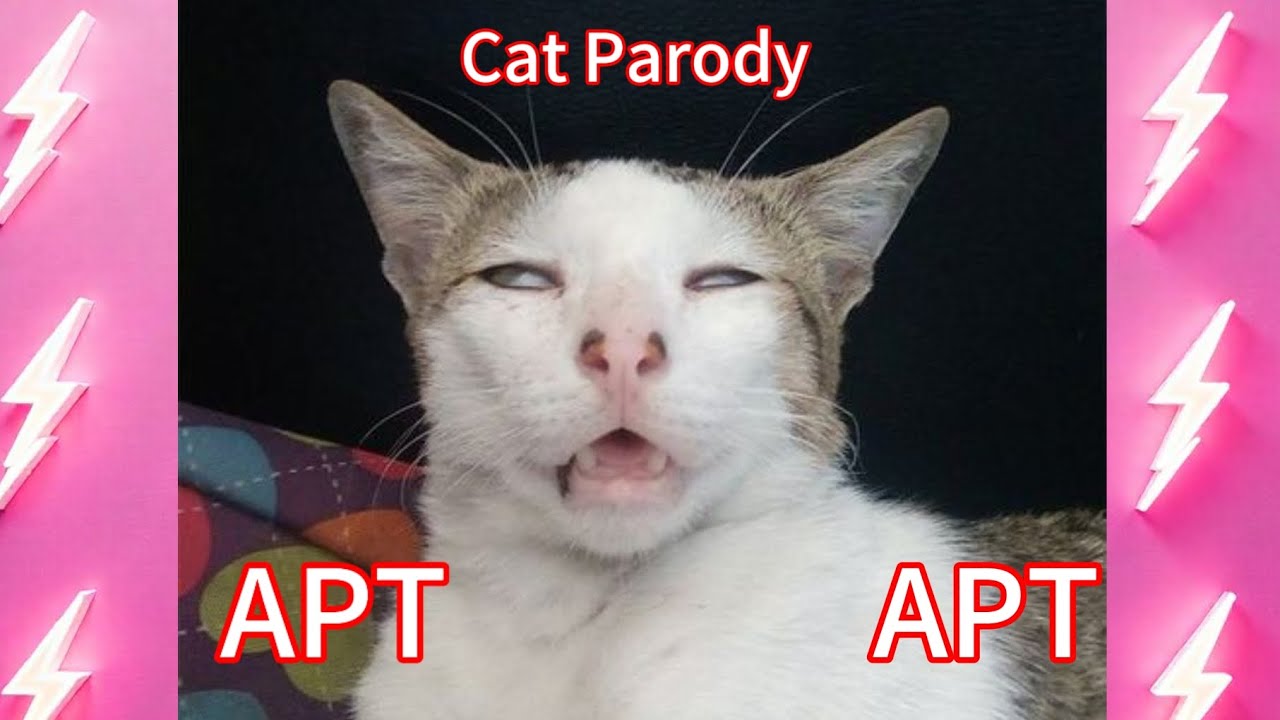 ROSÉ Bruno Mars - APT. Cat Parody 아파트고양이 패러디 #cat #ai#apt#catlover #funny ROSÉ Bruno Mars - APT. Cat Parody 아파트고양이 패러디 #cat #ai#apt#catlover #funny