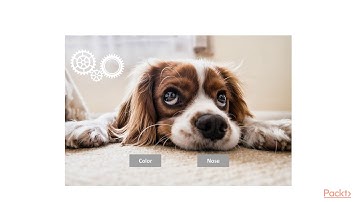 Artificial Intelligence in 3 Hours : Image Classification | packtpub.com