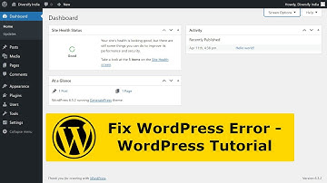 How to fix WordPress Error (This site can