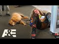 Drunk Man & Support Dog Denied Boarding, Claims He’s Fine | Airline | A&E