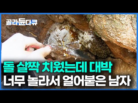 돌에 벌이 앉아 있길래 살짝 치워봤다가 횡재한 남자｜최상급 <strong>석청</strong>｜목청꾼｜극한직업｜#골라듄다큐